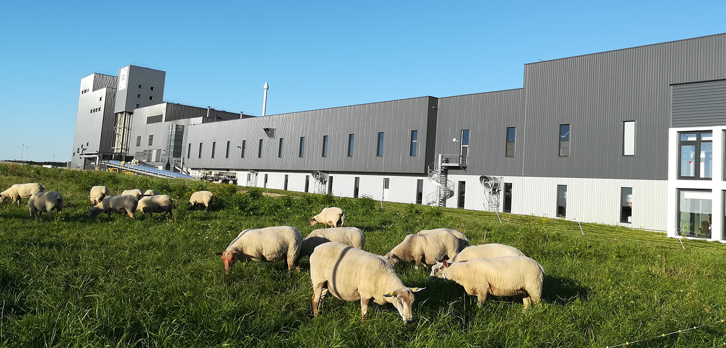 SGD Pharma übernimmt die Führung in Sachen Nachhaltigkeit und erhält zum ersten Mal das Platin-Rating von EcoVadis