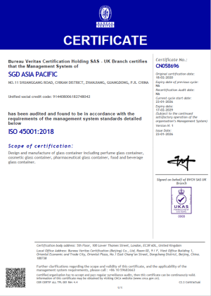 ISO 45001 SGD Asia Pacific