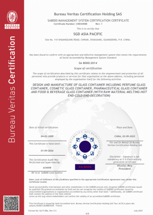 SA 8000 SGD Asia Pacific